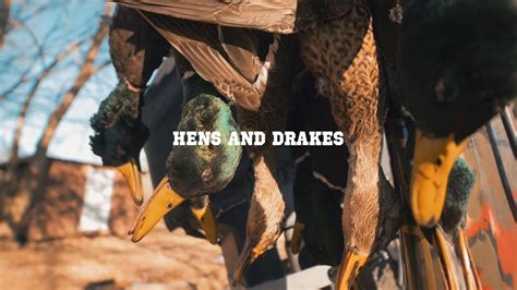Duck Hunting 247hunt Hens And Drakes Season 1 Ep4 Youtube
