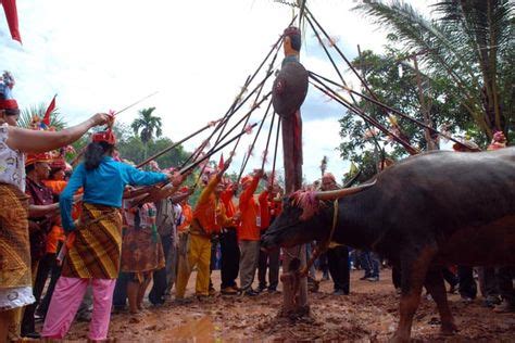 Tiwah Funeral Ceremony Of Dayak People Kalimantan