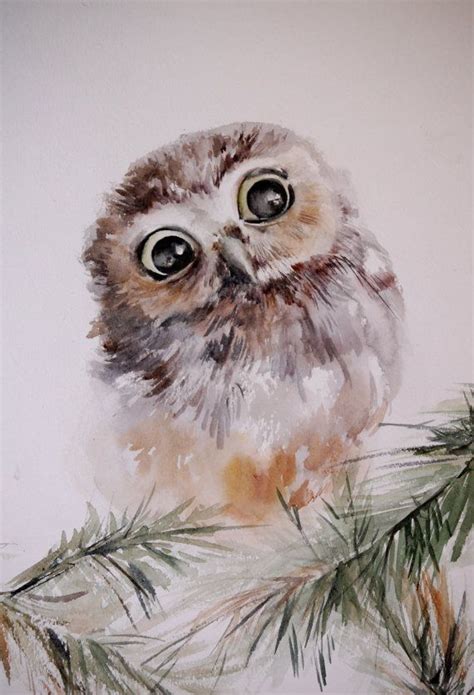Baby Owl Watercolor Painting Original Watercolor By Canotstop Owl