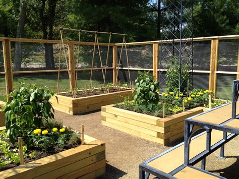 Attractive Vegetable Garden Fence Hawk Haven