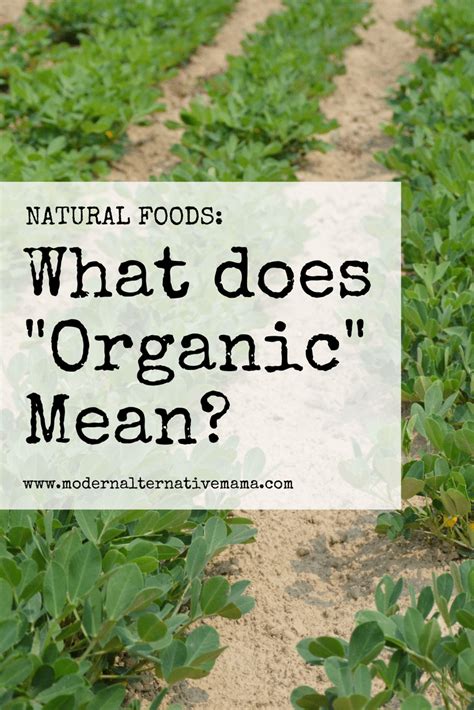 Organic foods are grown within the norms of best farming practices and then tested by third parties to ensure that no traces or chemical residues are found. What does Organic Mean?-2 - Modern Alternative Mama