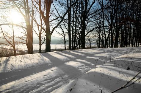 Hermoso Paisaje Natural De Invierno Foto Gratis