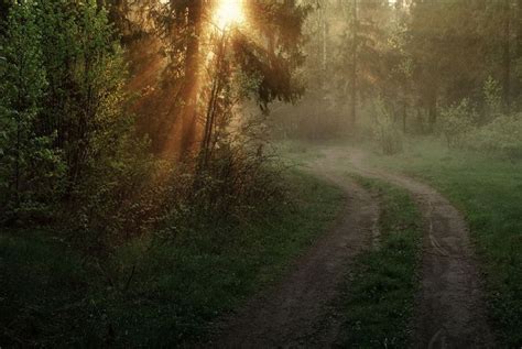 The Sun Shines Brightly Through The Trees On A Dirt Road