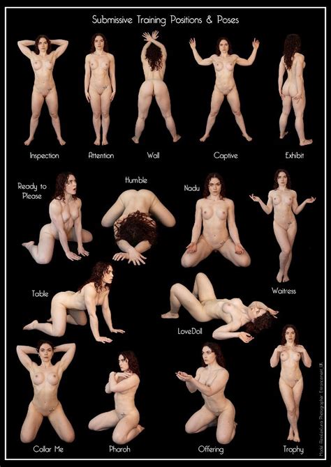 Submissive Training Positions And Poses Freewind
