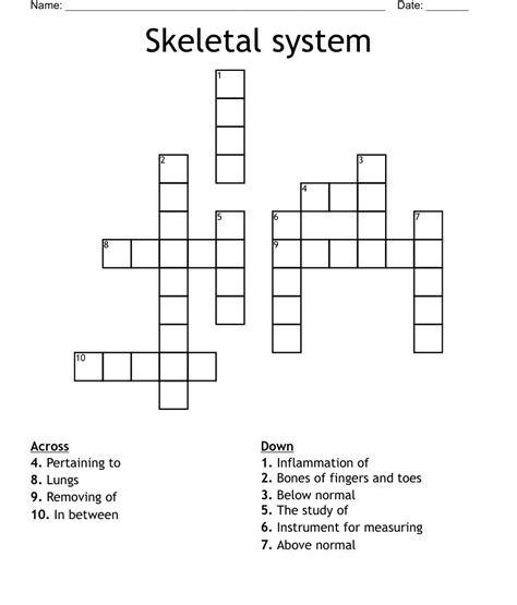 Printable Skeletal System Crossword Puzzle Printable Crossword Puzzles