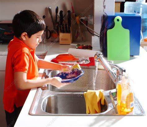 Young Boy Washing Dishes Stock Image C0274203 Science Photo Library