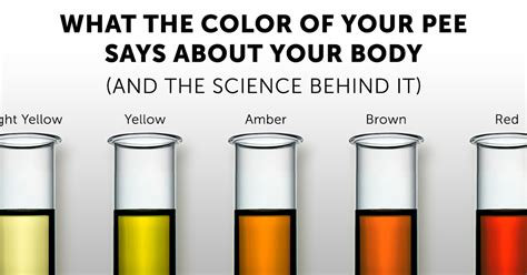Urine Color Coloring