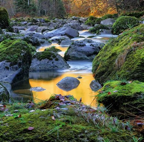 Free Images Tree Nature Forest Rock Waterfall River Pond