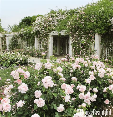 Rose Garden Rose Garden Landscape Rose Garden Design Landscape Design