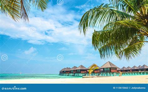 Over Water Bungalows And Tropical Sandy Beach With Palm Tree Maldives