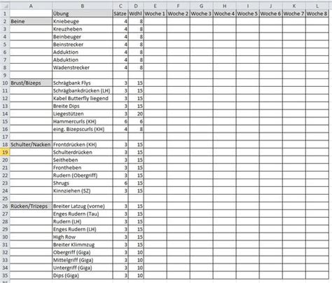 Hier erkläre ich dir ganz ausführlich was ich alles im anamnesebogen abfrage und warum. Suche ein Trainingsplan für Oberkörper! (Fitness)