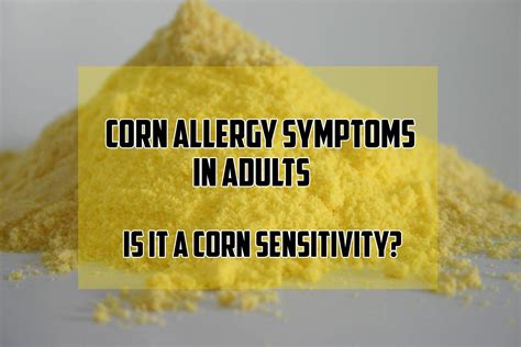 Corn Allergy Symptoms In Adults Is It A Corn Sensitivity Corn