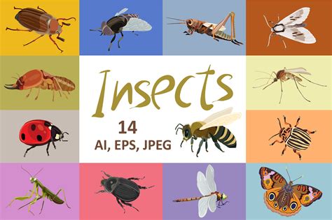 Insects Vector Set Custom Designed Illustrations ~ Creative Market