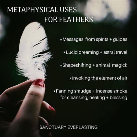 Feather Symbolism And Meaning Sanctuary Everlasting