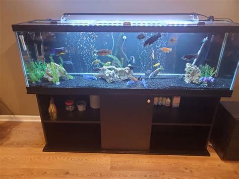Aqueon 125 Gal Aquirium With Filter For Sale In Third Lake Il Offerup
