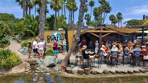 Barefoot Bar And Grill San Diego 2020 All You Need To Know Before