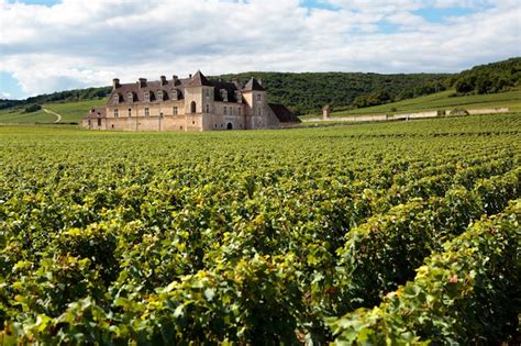 Premium Photo Vineyard Chateau Burgundy France