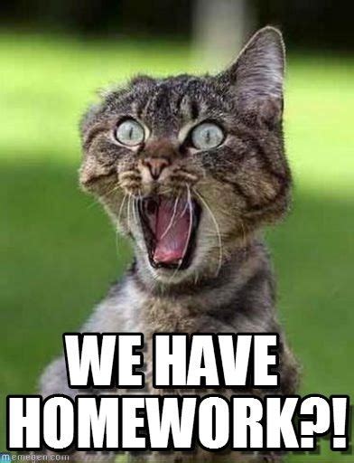 We Have Homework Screaming Cat Meme On Memegen Quotes Memes Pinterest Homework Meme