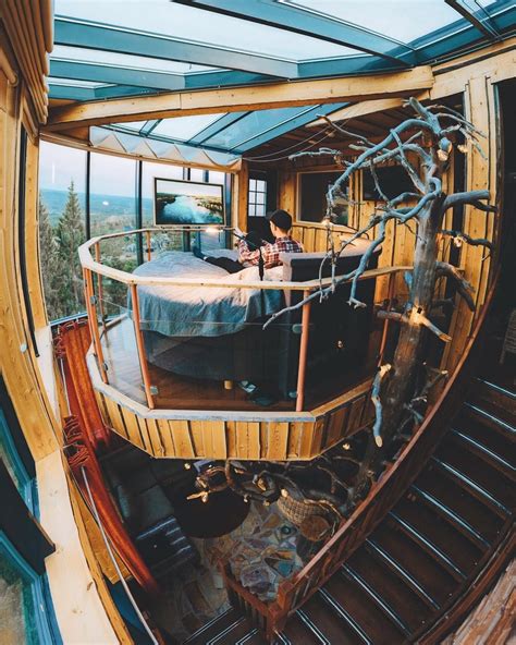 2018s Craziest Treehouses In Treetops Around The World Tree House