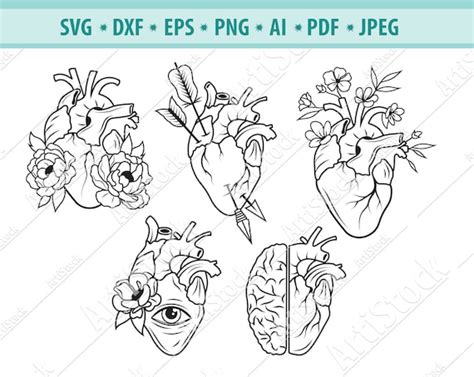 Heart Svg File Anatomical Heart Svg Human Heart Svg Etsy