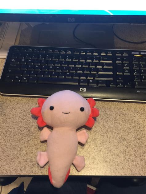 This Axolotl Plush I Have Is The Best Thing Ever Axolotls