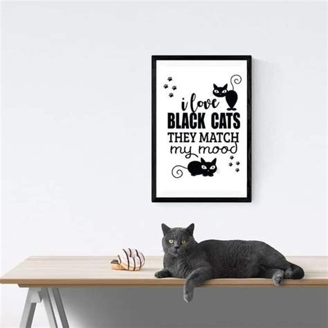 The 30 Funniest Cat Poster Quotes To Hang On Your Walls Cat Posters