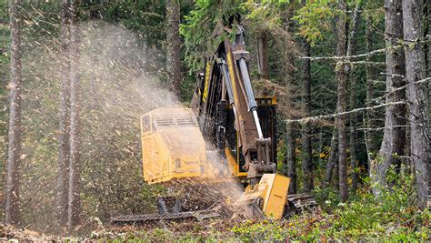 Mulching Head Track Mulchers Tigercat