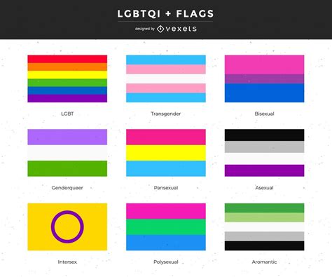 Descarga Vector De Colección De Banderas De Género Y LGBTQI