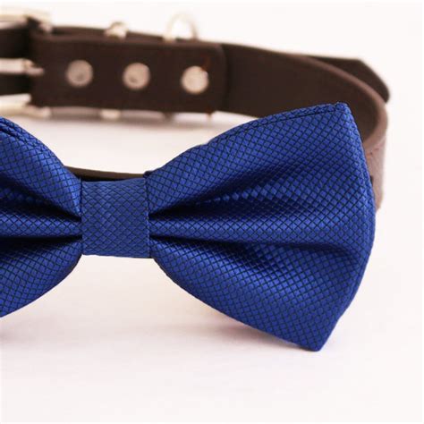 Royal Blue Bow Tie Collar Xs To Xxl Collar And Bow Tie Etsy