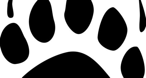 Bear Paw Prints Free Download On Clipartmag