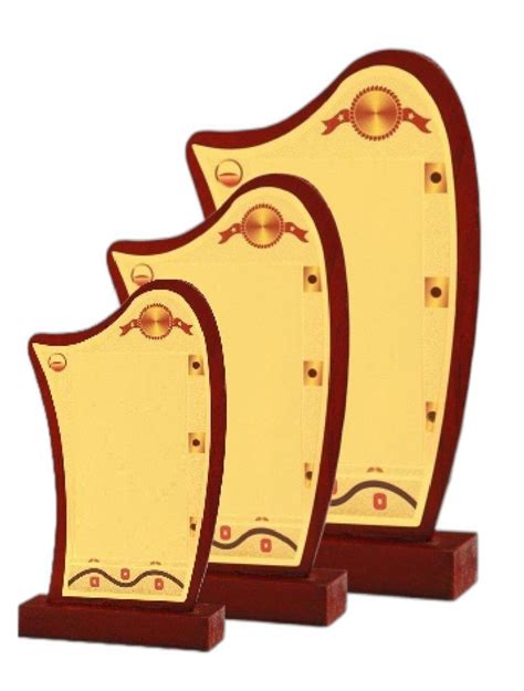 Wooden Momento Trophy Size 5 10 Inch At Rs 115 In New Delhi Id