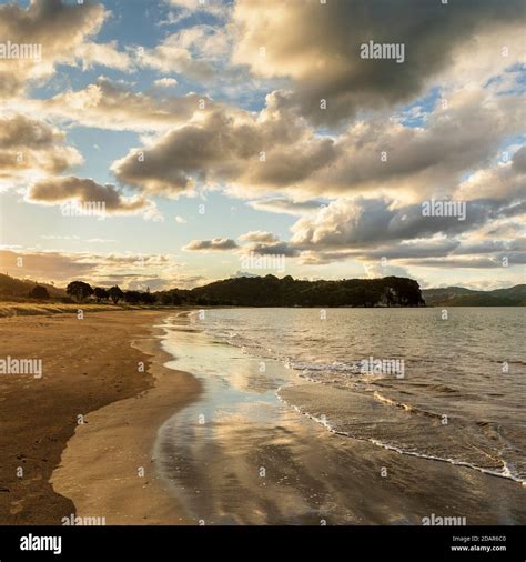 Cooks Beach At Sunset Oceania Coromandel Peninsula Waitako North