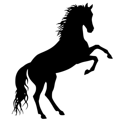 Gratis Afbeeldingen Silhouet Dier Paarden Grootbrengen Vervoer