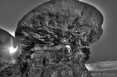 The tree shown here uses the protein myoglobin, and is limited to vertebrates. Mr.K Photography: Goblin Valley - Part 1