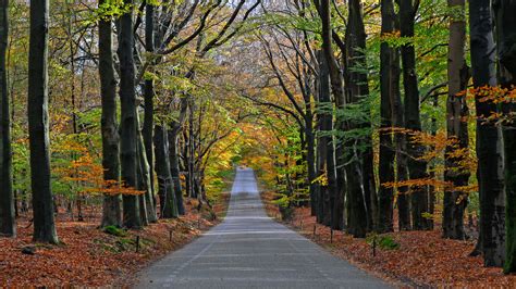 Bei weg.de günstige reiseangebote von über 70 reiseveranstaltern buchen! Het seizoen verandert een bos - Jan Hof photograpy