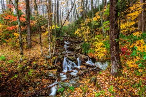 Cascading Waterfall In Autumn Forest Hd Wallpaper Background Image