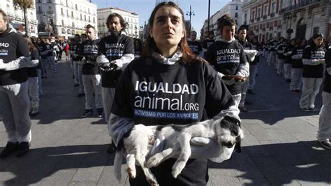 Activistas Protestan Con Animales Muertos Para Reivindicar Sus Derechos