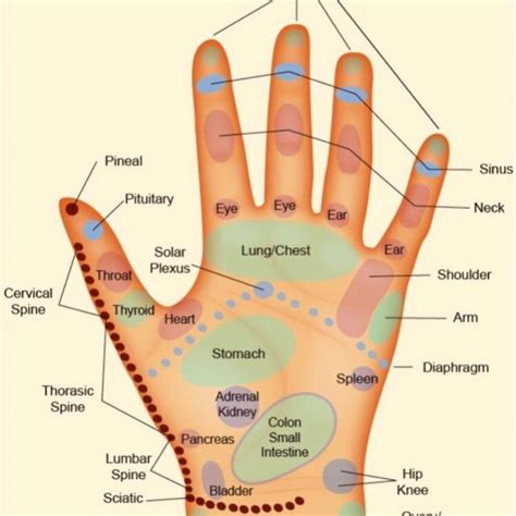 Reflexology Is A Modality That Is Becoming Recognize As An Effective