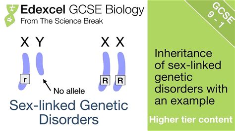Gcse Biology Sex Linked Genetic Disorders Youtube