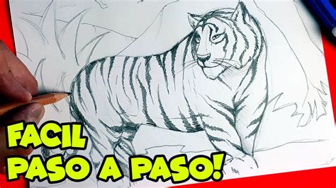 Como Dibujar Un Tigre Paso A Paso Facil How To Draw A Tiger Como