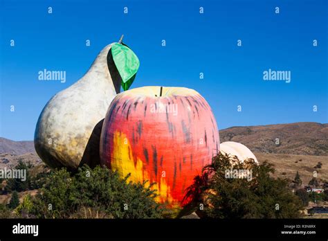 New Zealand South Island Otago Cromwell Giant Fruit Sculpture Stock