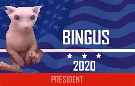 Bingus Has My Vote This Took Like 30 Minutes To Photoshop Lol Rbingus