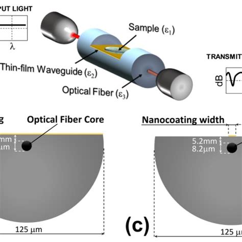 Pdf Optimization In Nanocoated D Shaped Optical Fiber Sensors