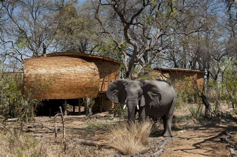 Sandibe Okavango Safari Lodge By Michaelis Boyd Botswana