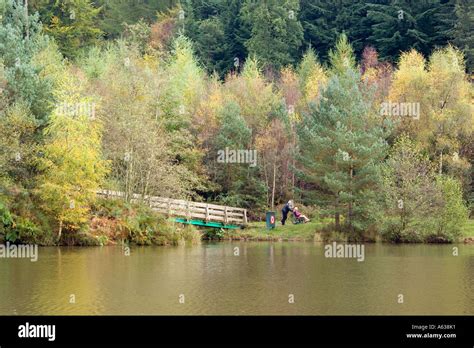Autumn In The Forest Of Dean At Mallards Pike Lake Gloucestershire