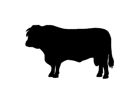 Angus Bull Outline Silhouette Clip Art Pig Silhouette Cow The Best