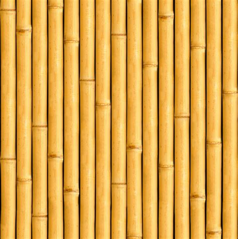 Texture Seamless Bambu