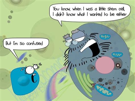 But Im Confused Biology Humor Science Jokes Biology Jokes