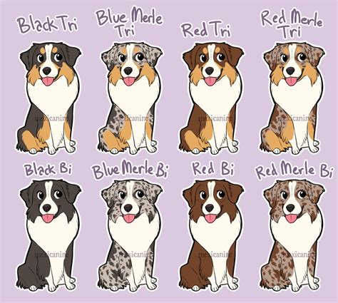 Australian Shepherd Sticker Aussie Chibi Puppy Dog Vinyl