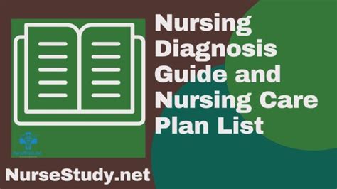 Nursing Diagnosis Guide And Nursing Care Plan Nursestudynet